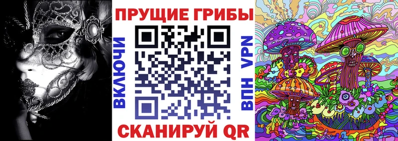 кракен tor  Волгоград  Галлюциногенные грибы мухоморы 